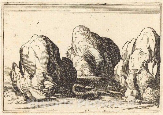 Art Print : Jacques Callot, Serpent, 1628 - Vintage Wall Art