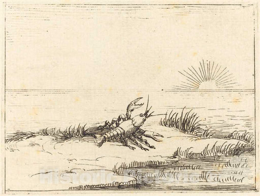 Art Print : Jacques Callot, Crayfish Looking at The Sun, 1628 - Vintage Wall Art