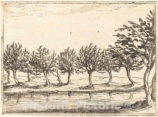 Art Print : Jacques Callot, Willows by The Water's Edge, 1628 - Vintage Wall Art