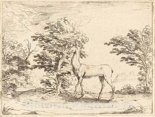 Art Print : Jacques Callot, The Doe - Vintage Wall Art