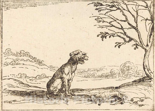 Art Print : Jacques Callot, Lioness Mourning her Cub - Vintage Wall Art