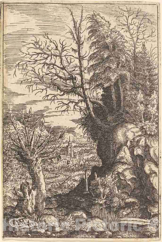 Art Print : Hanns Lautensack, Landscape with a Willow, 1553 - Vintage Wall Art