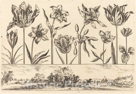 Art Print : Nicolas Cochin After Moncornet, Flower Print no.2, 1645 - Vintage Wall Art