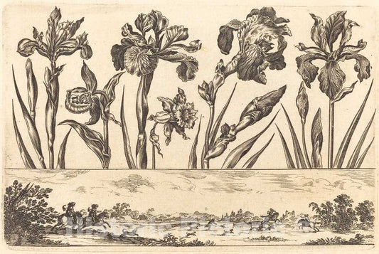 Art Print : Nicolas Cochin After Moncornet, Flower Print no.3, 1645 - Vintage Wall Art