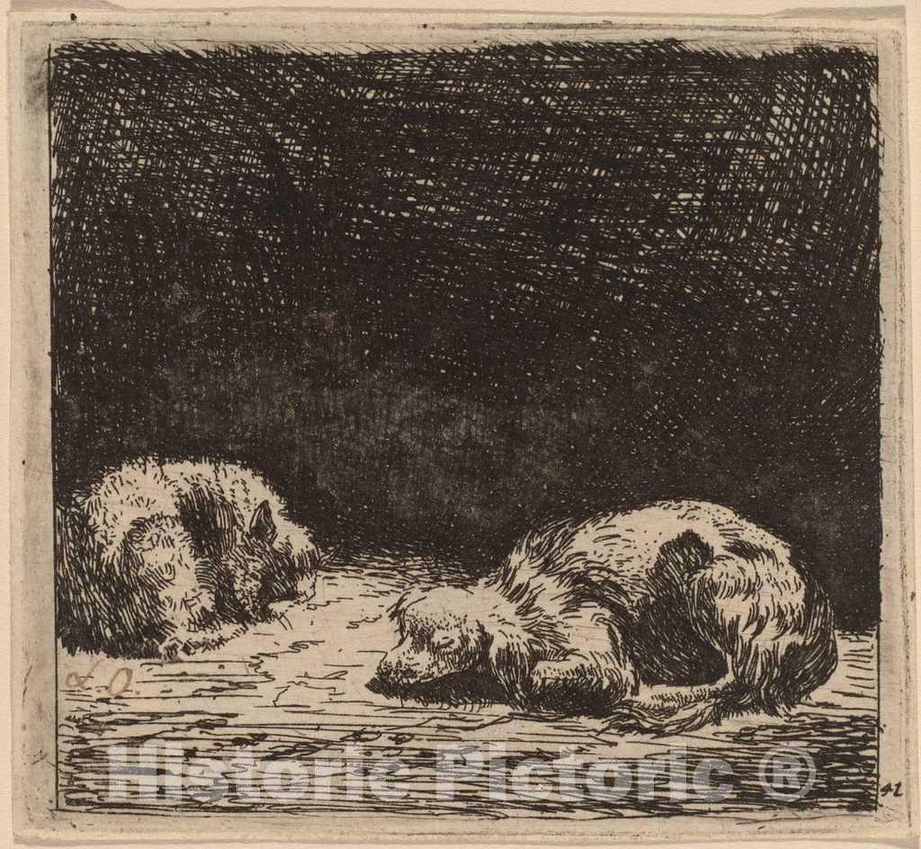 Art Print : Dujardin, Dog and Cat - Vintage Wall Art