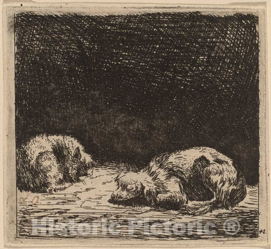 Art Print : Dujardin, Dog and Cat - Vintage Wall Art