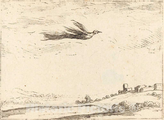 Art Print : Jacques Callot, Bird of Paradise - Vintage Wall Art