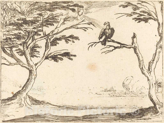 Art Print : Jacques Callot, The Vulture - Vintage Wall Art