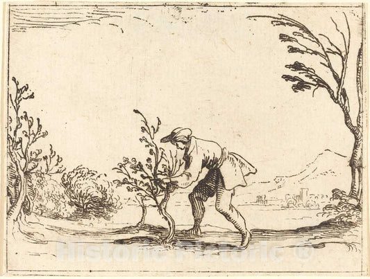 Art Print : Jacques Callot, Man Cutting a Balm-Tree - Vintage Wall Art