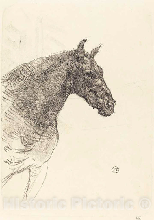 Art Print : Henri de Toulouse-Lautrec, Old Horse (Le Vieux Cheval), 1897 - Vintage Wall Art