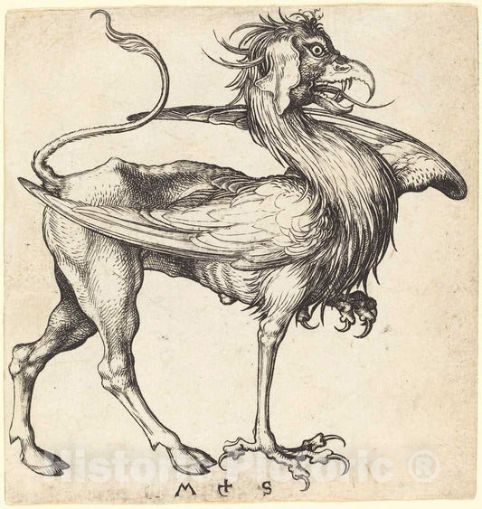 Art Print : Martin Schongauer, The Griffin, c.1485 - Vintage Wall Art