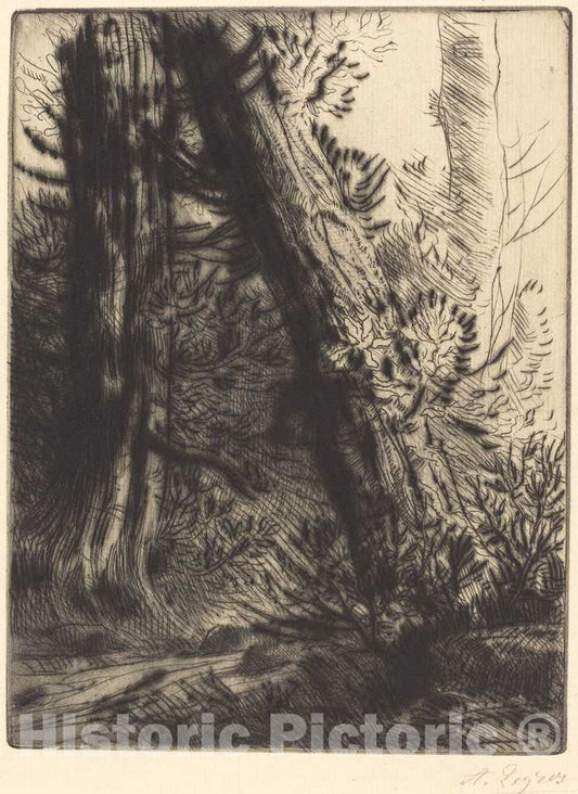 Art Print : Alphonse Legros, Edge of a Brook (Bord de ruisseau) - Vintage Wall Art