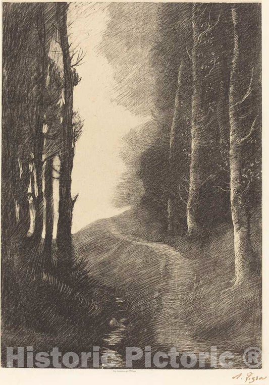 Art Print : Alphonse Legros, Landscape with Birch Trees (Le paysage aux bouleaux) - Vintage Wall Art