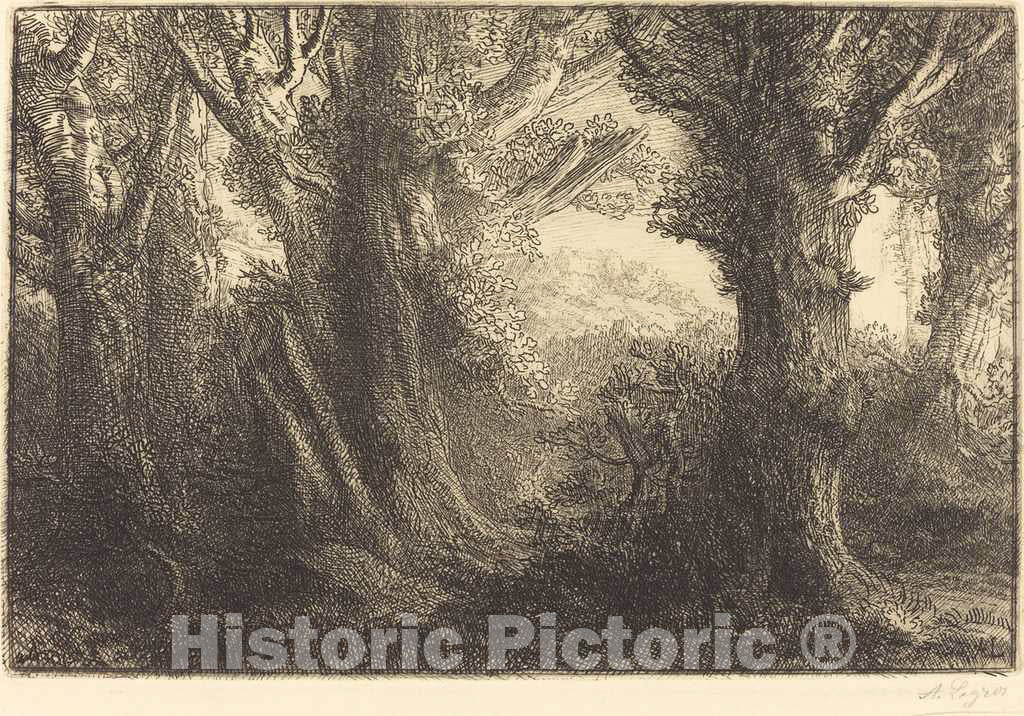 Art Print : Alphonse Legros, in The Forest of Conteville (Dans la foret de Conteville) - Vintage Wall Art