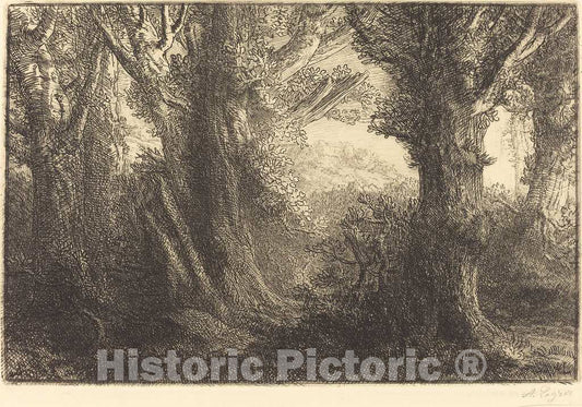 Art Print : Alphonse Legros, in The Forest of Conteville (Dans la foret de Conteville) - Vintage Wall Art