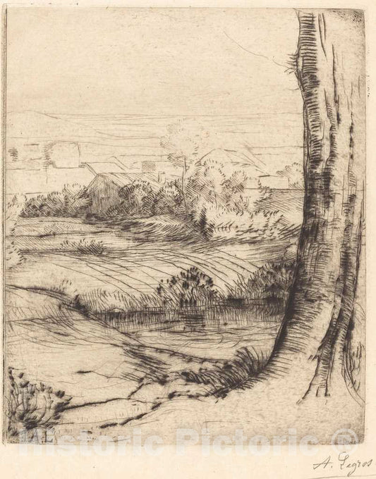 Art Print : Alphonse Legros, View of Reeds (Coin de Roseau) - Vintage Wall Art