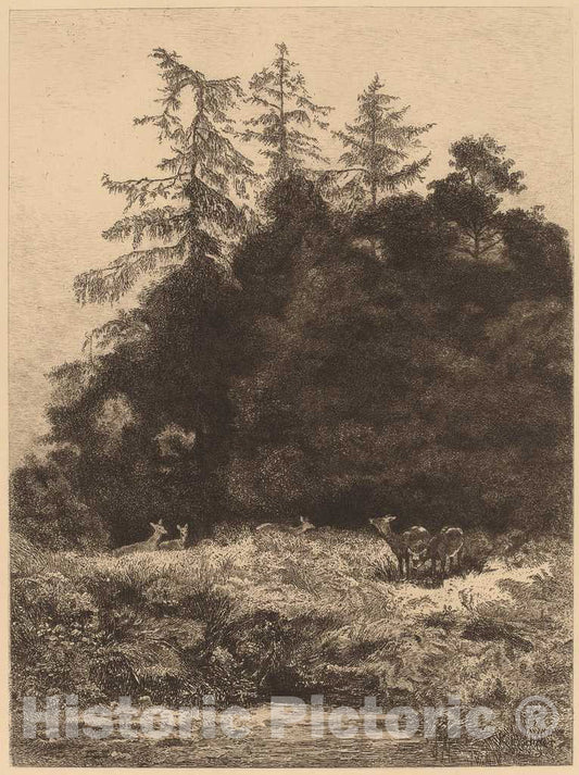 Art Print : Karl Bodmer, Daims Dans un PARC - Vintage Wall Art