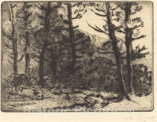 Art Print : Alphonse Legros, Woods in Winter Sun, 2nd Plate (Soleil d'hiver Dans les Bois) - Vintage Wall Art
