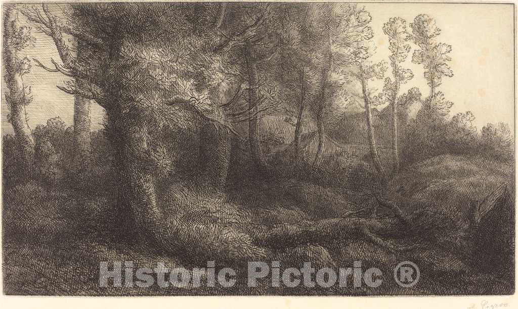 Art Print : Alphonse Legros, in The Forest (Lisiere de foret) - Vintage Wall Art