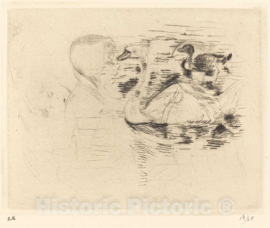 Art Print : Berthe Morisot, Swans at Stagnant Water, c.1889 - Vintage Wall Art