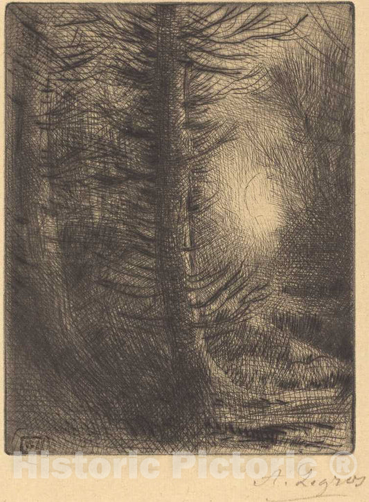 Art Print : Alphonse Legros, Woods in Winter Sun, 1st Plate (Soleil d'hiver Dans les Bois) - Vintage Wall Art