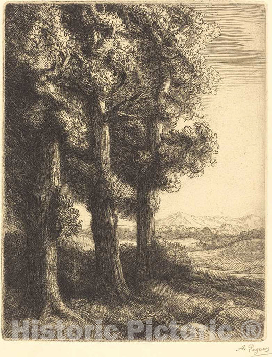 Art Print : Alphonse Legros, Corner of a Wood (Coin d'un Bois) - Vintage Wall Art