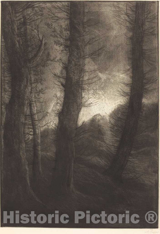 Art Print : Alphonse Legros, Large Trees Seen Against The Sun (Les Grandes arbres: Effet du soir) - Vintage Wall Art