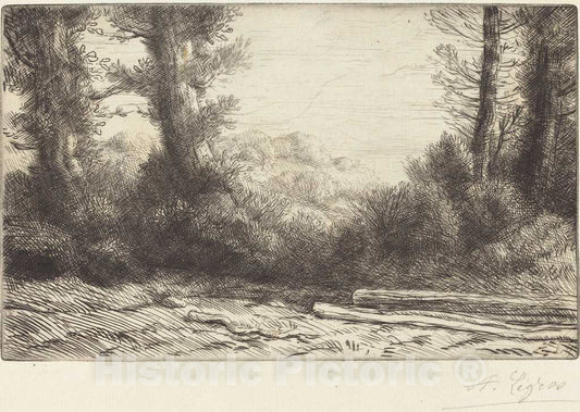 Art Print : Alphonse Legros, Edge of a Wood (Lisiere de Bois) - Vintage Wall Art