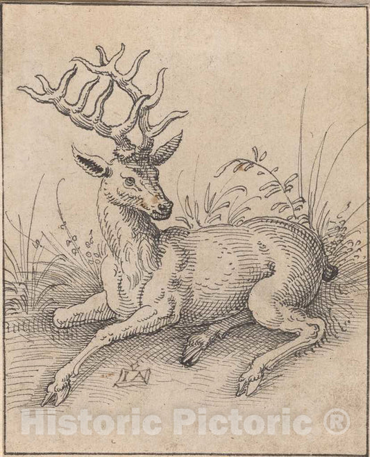 Art Print : Jost Amman, The Stag - Vintage Wall Art