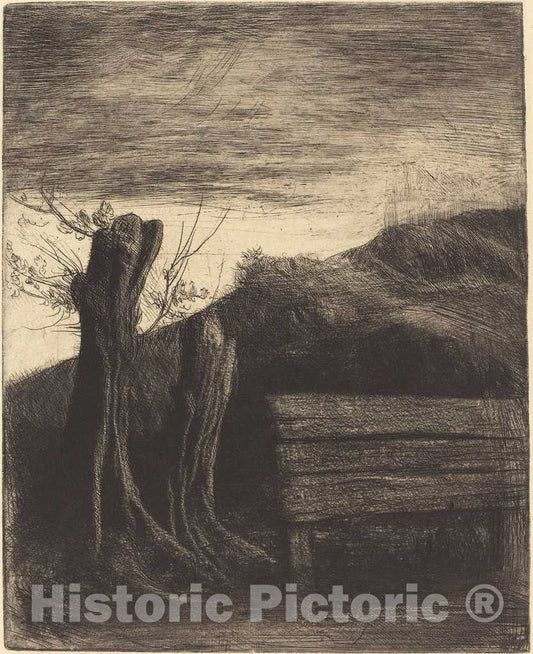 Art Print : Alphonse Legros, Pollard Willows (Les saules tetards) - Vintage Wall Art