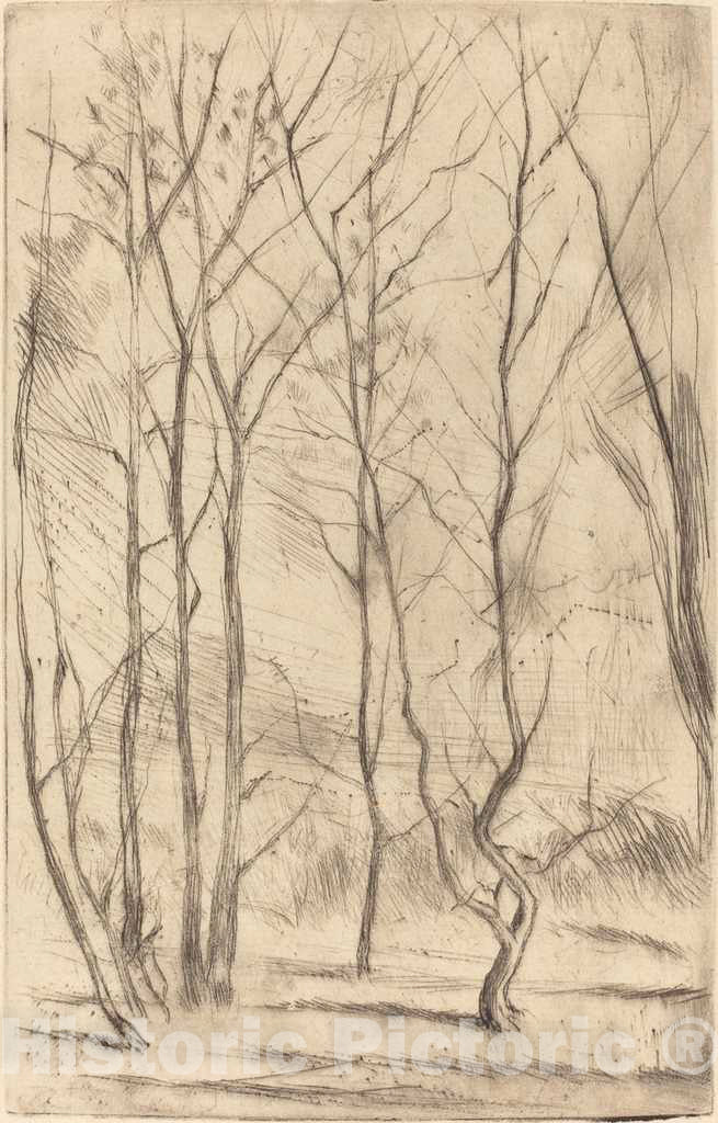 Art Print : James McNeill Whistler, The Dam Wood, 1875 - Vintage Wall Art