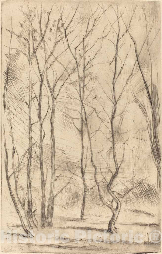 Art Print : James McNeill Whistler, The Dam Wood, 1875 - Vintage Wall Art