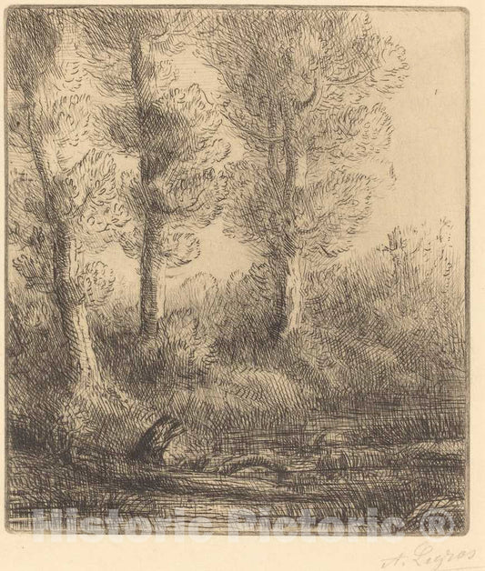 Art Print : Alphonse Legros, Banks of The Saint-Pre (Rive du Saint-Pre) - Vintage Wall Art