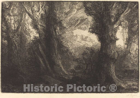 Art Print : Alphonse Legros, in The Forest of Conteville (Dans la foret de Conteville) - Vintage Wall Art