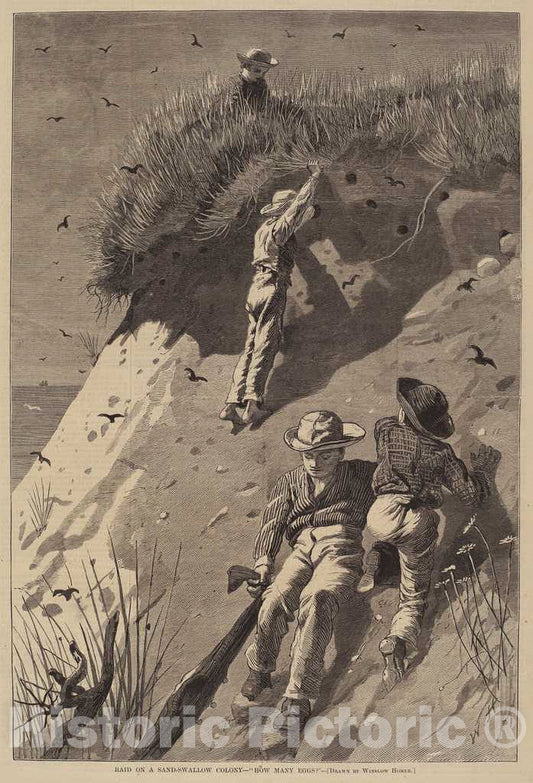 Art Print : Lagarde After Homer, Raid on a Sand-Swallow Colony - How Many Eggs?, 1874 - Vintage Wall Art