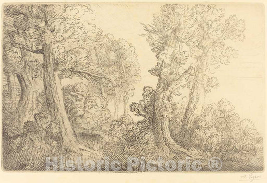 Art Print : Alphonse Legros, Near The Woods, Veronne (Pres du Bois, Veronne) - Vintage Wall Art