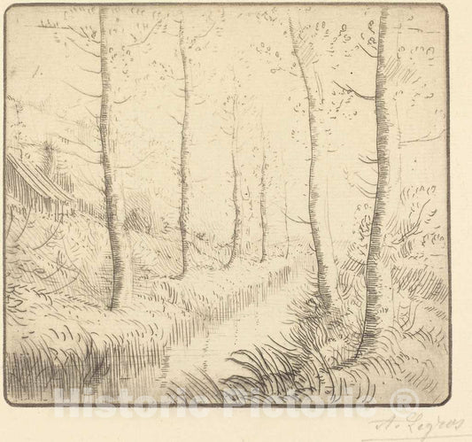 Art Print : Alphonse Legros, Birch Trees Along The Water (Les bouleaux: Bord de l'eau) - Vintage Wall Art