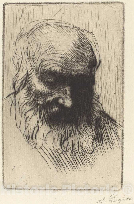 Art Print : Alphonse Legros, Head of an Old Man (Etude de Tete) - Vintage Wall Art