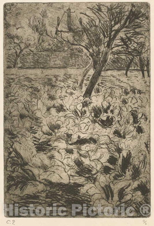 Art Print : Camille Pissarro, The Cabbage Field (Le Champ de choux), c. 1880 - Vintage Wall Art