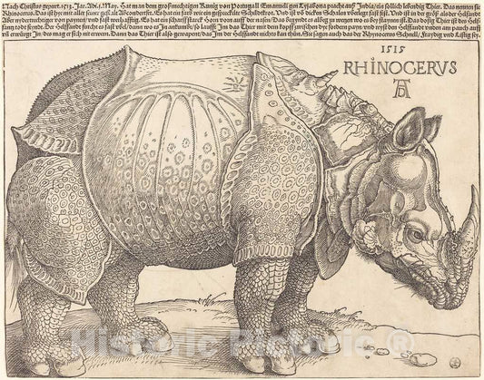 Art Print : Albrecht DÃ¼rer, The Rhinoceros, 1515 - Vintage Wall Art