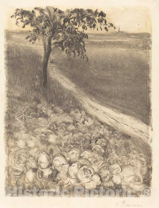 Art Print : Camille Pissarro, Road by a Field of Cabbages, c. 1880 - Vintage Wall Art