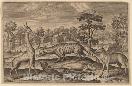 Art Print : Adriaen Collaert, Animalium Quadrupedum - Vintage Wall Art