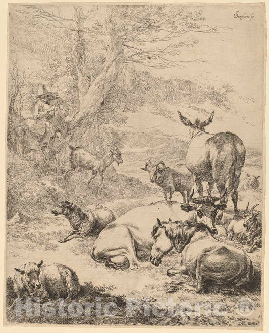 Art Print : Nicolaes Pietersz Berchem, Resting Herd - Vintage Wall Art