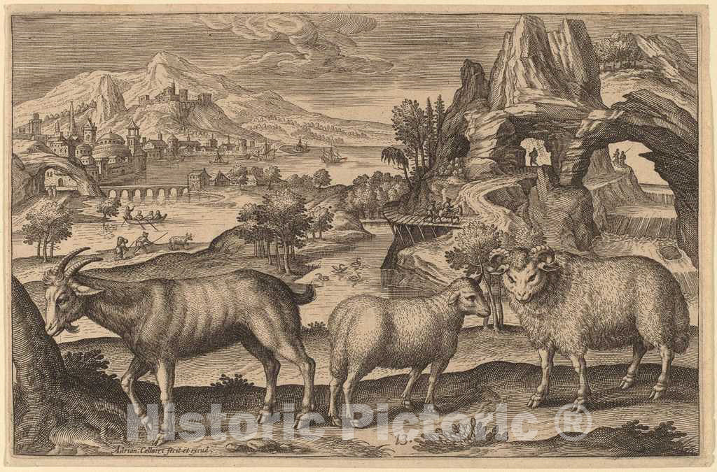 Art Print : Adriaen Collaert, Animalium Quadrupedum - Vintage Wall Art