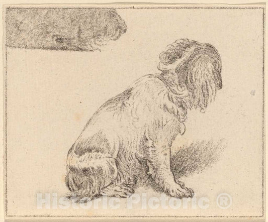 Art Print : Amstel and Brouwer After Mieris, Seated Dog, 1777 - Vintage Wall Art