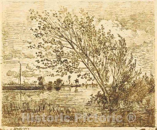 Art Print : Charles-FranÃ§ois Daubigny, Stand of Alders (Le Bouquet d'aunes), 1862 - Vintage Wall Art