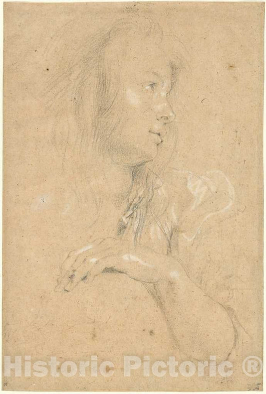 Art Print : Sir Peter Paul Rubens, Young Woman in Profile, c. 1613 - Vintage Wall Art
