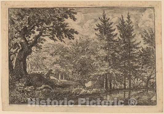Art Print : Allart Van Everdingen, Fir Trees at The Water, c.1651 - Vintage Wall Art