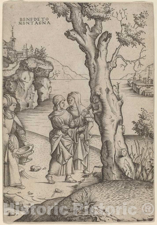 Art Print : Benedetto Montagna, Birth of Adonis, c.1518 - Vintage Wall Art