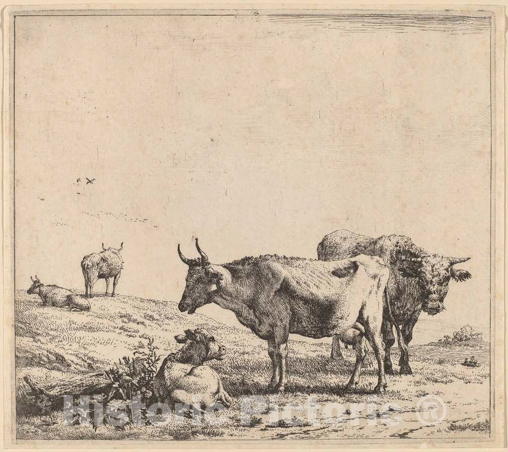 Art Print : Dujardin, Cow, Bull and Calf - Vintage Wall Art
